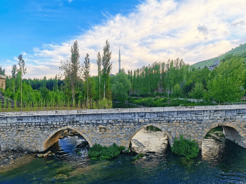 Baş Kavak Köprüsü'nde dere üzerindeki taş kemerler ve çevredeki ağaçlık doku