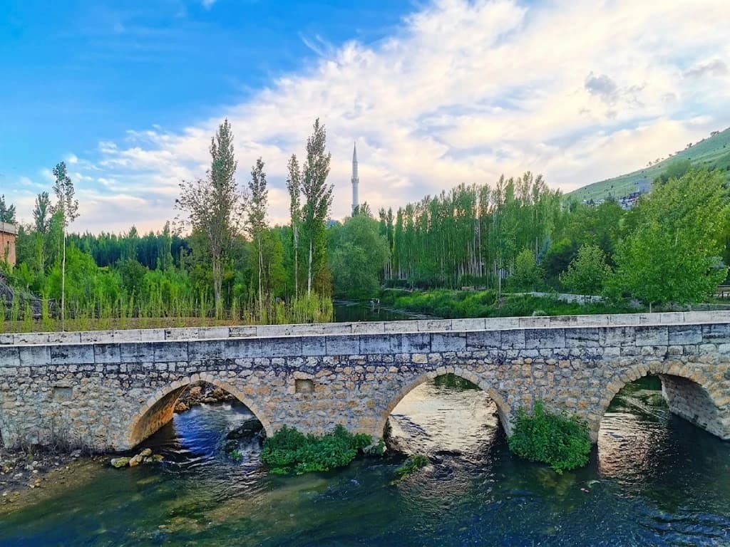 Baş Kavak Köprüsü'nde dere üzerindeki taş kemerler ve çevredeki ağaçlık doku